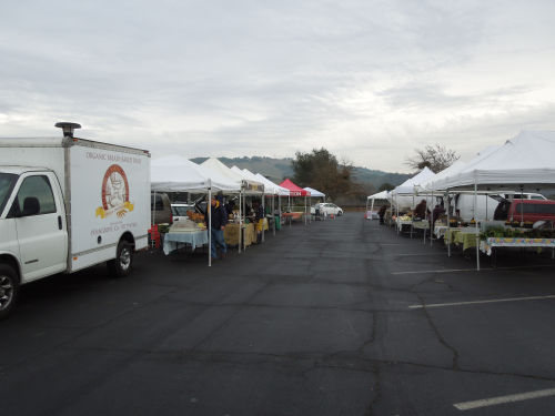 market long view