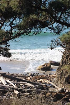 View of beach from cliff