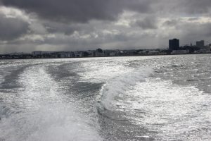 Wake in Reykjavik Harbor