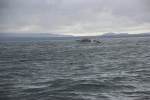 Ultimate Whale Watching Zodiac raft.