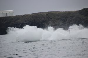 Spout of water where whale landed.