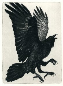 "We totally Got them! They did not see 2017 coming!" says the three-legged crow. Larry Vienneau, The Three Legged Birds, Etching 2010