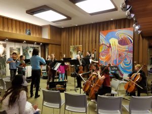 The Young People's Chamber Orchestra