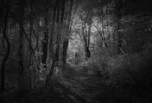 Alone in the Dark Forest. Original Art by mikithemaus@deviantart.com