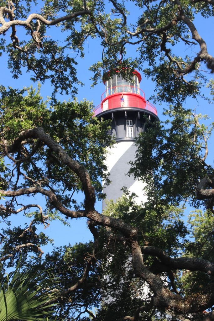 Lighthouse. Through the live oaks it doesn't seem so high.