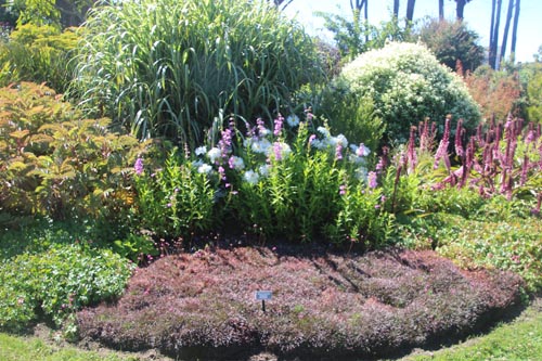 One view of the heather garden.