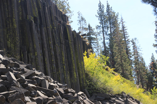 Upright pillars, glowing yellow aspen trees at right.