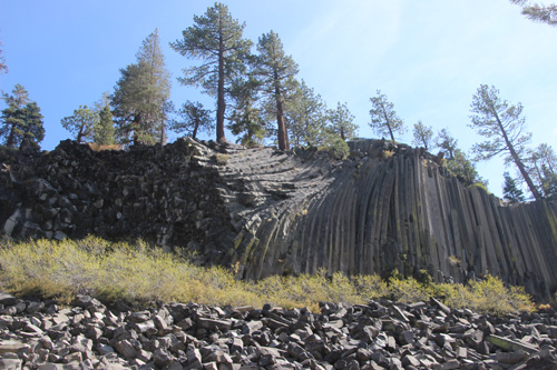 Devil's postpile showing columns end on, curved, twisting, and upright, topped with trees, blue sky