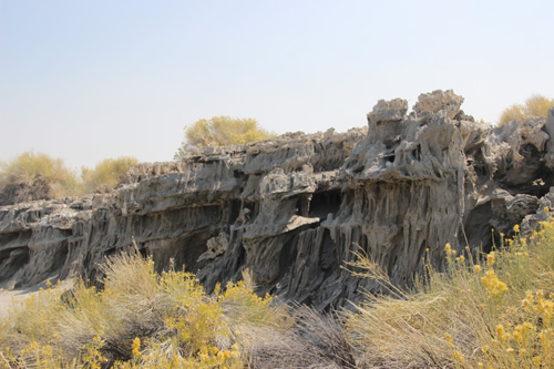 A row of currugated limestone tufas coated with ghostly gray sand.