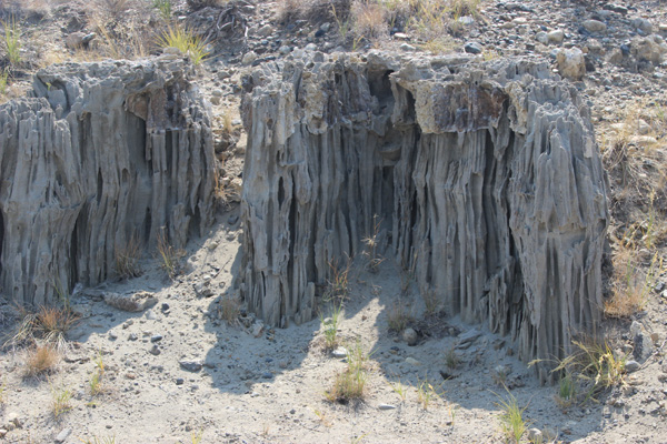 Close up, with the folds and tentacle like foundations of the towers.