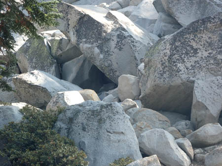 Granite boulders, a small opening for a cave, evergreen branches on left.