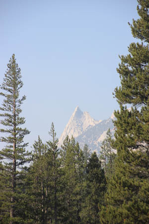 Framed by two fir trees, tall narrow granite peak in the distance. Unicorn Peak.