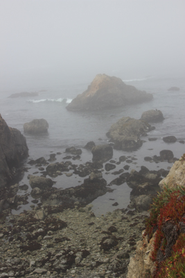 Fog, tide coming in around rocks in a narrow cove.