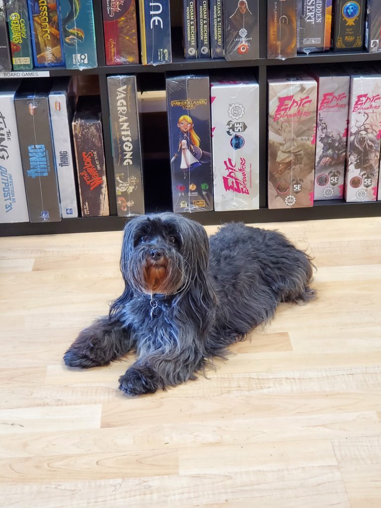 The official greeter. Black terrier lying in front of a case of games.