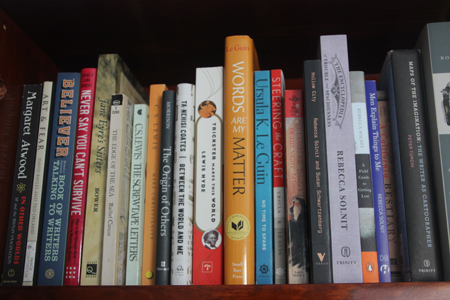 close up of bookshelf with essays  about writing